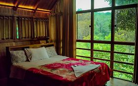 Tree House Wayanad